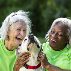 Two multiracial senior women volunteering at an animal shelter. They are sitting on the grass with a mixed-breed dog, petting it, smiling and laughing. The African-American woman is in her 60s and her friend is in her 70s.